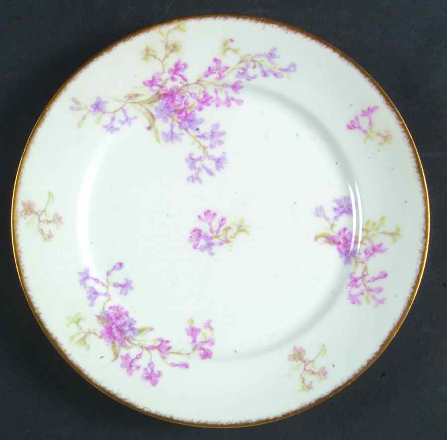 Schleiger 386 Luncheon Plate by Charles Field Haviland-1