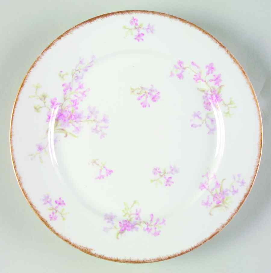 Schleiger 386 Dinner Plate by Charles Field Haviland-1