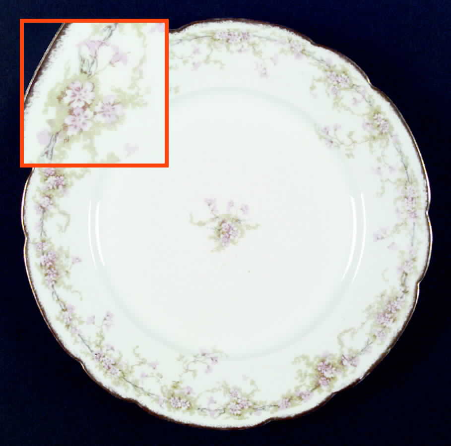Schleiger 389 Dinner Plate by Charles Field Haviland-1