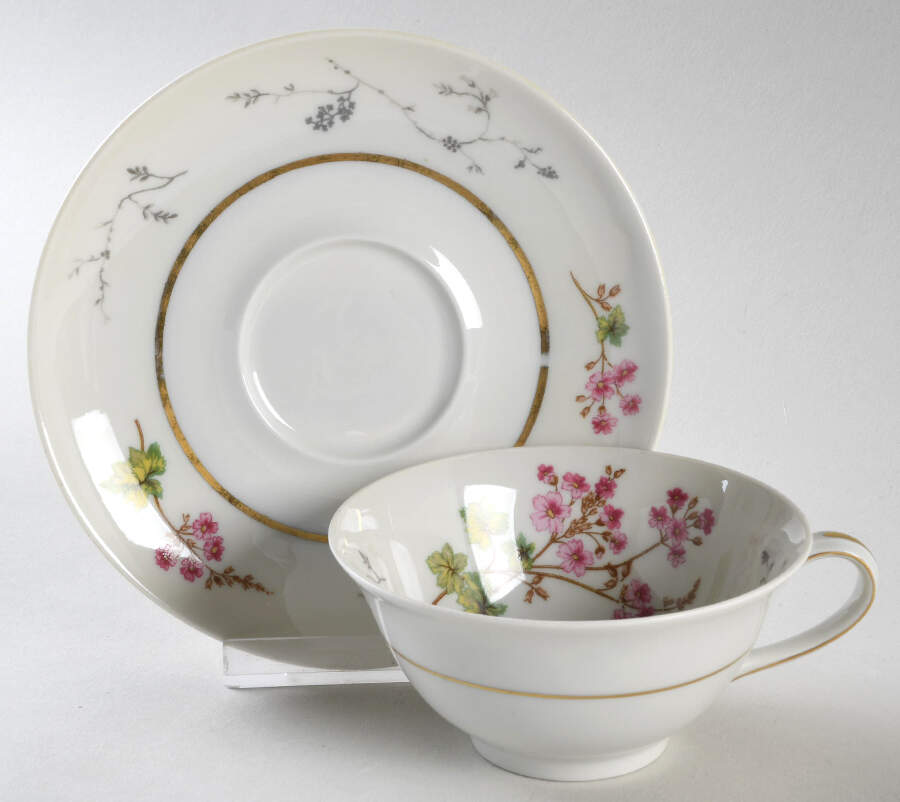 Spring Blossom Footed Cup & Saucer Set by Charles Field Haviland-1