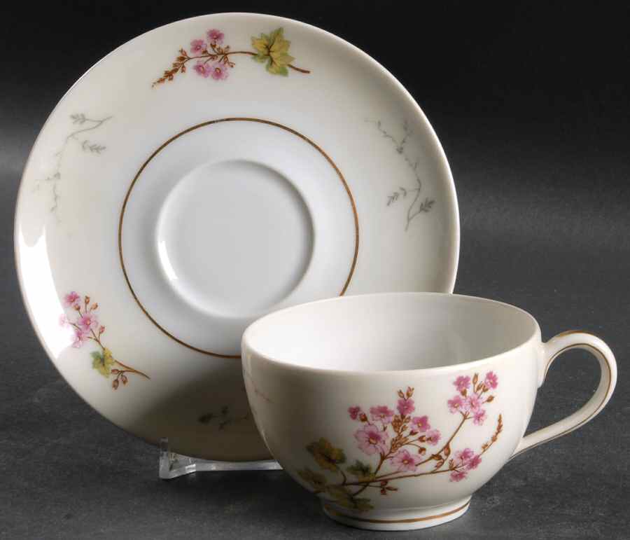 Spring Blossom Flat Cup & Saucer Set by Charles Field Haviland-1