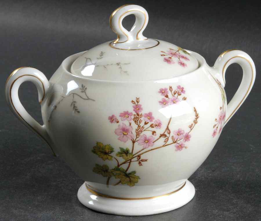Spring Blossom Sugar Bowl & Lid by Charles Field Haviland-1