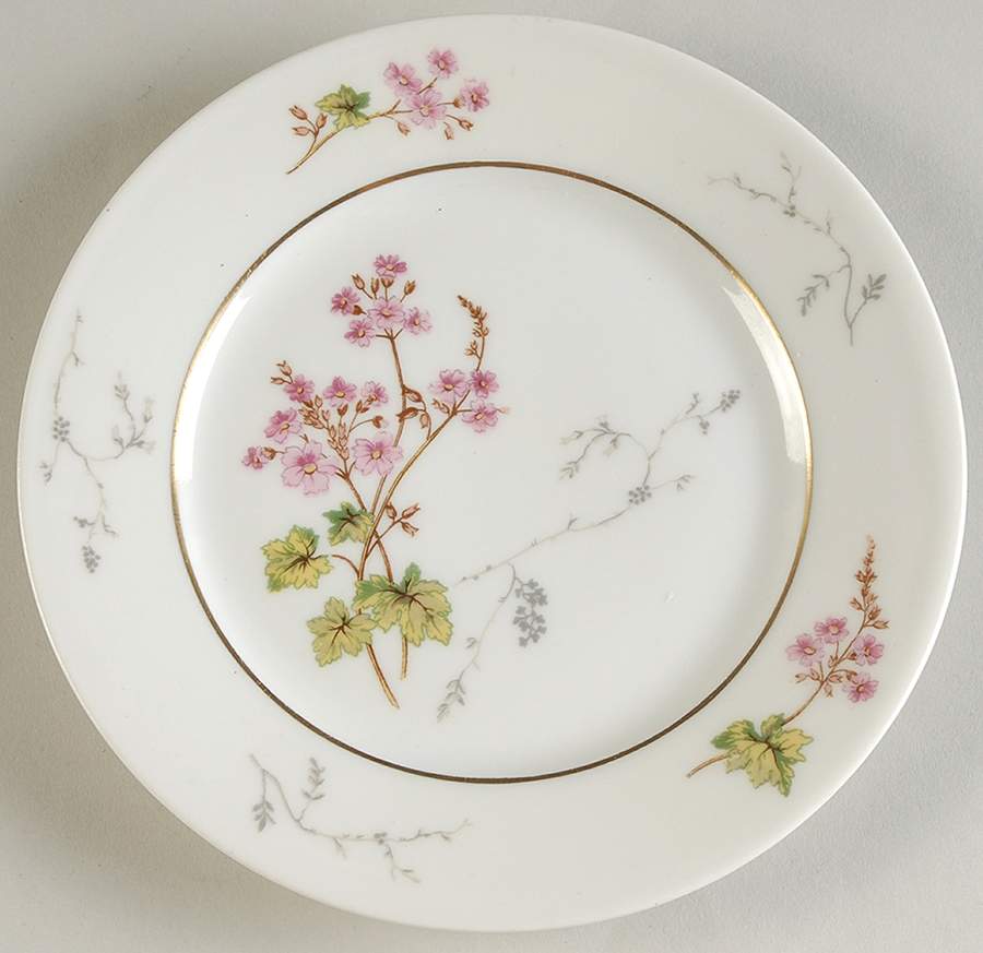 Spring Blossom Bread & Butter Plate by Charles Field Haviland-1