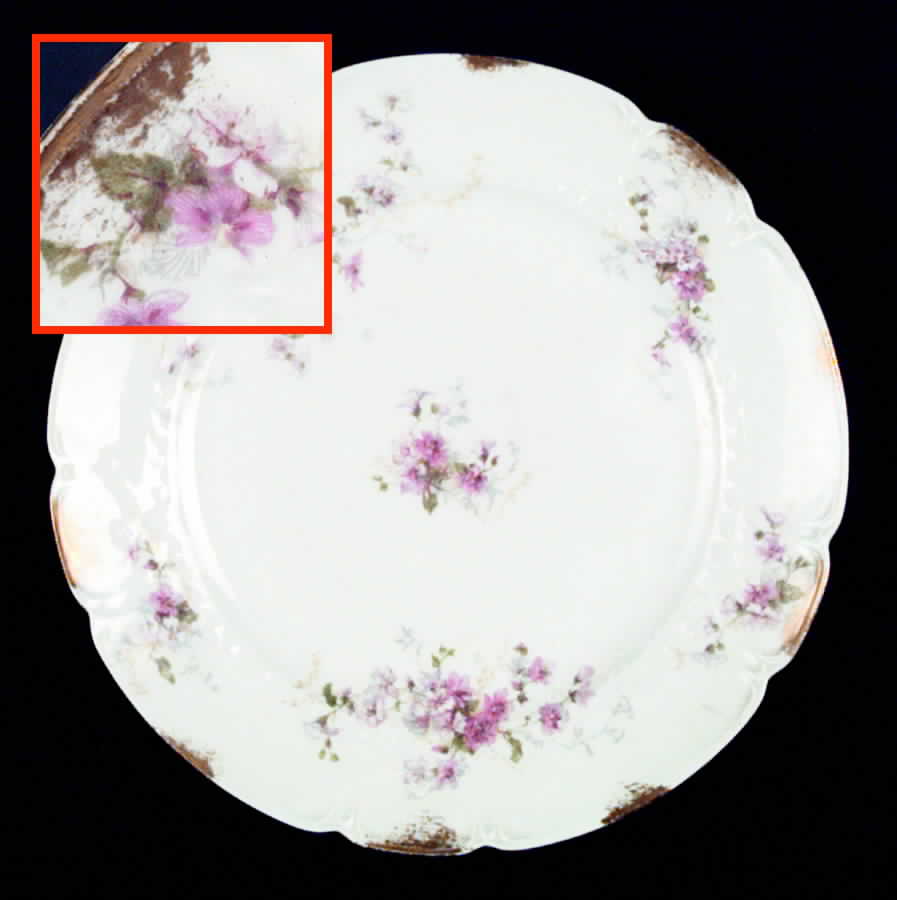 The Trocadero Luncheon Plate by Charles Field Haviland-1