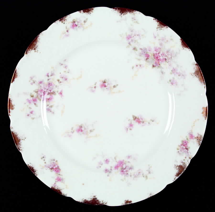 The Trocadero Dinner Plate by Charles Field Haviland-1