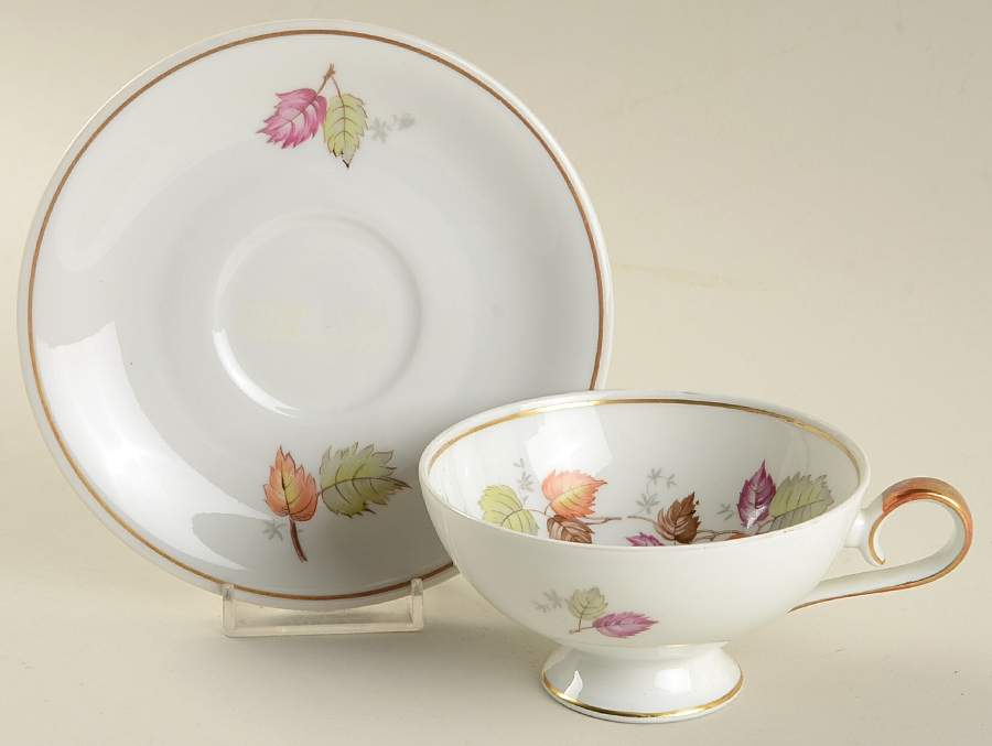 Fall Symphony Footed Cup & Saucer Set by Chalfonte-1