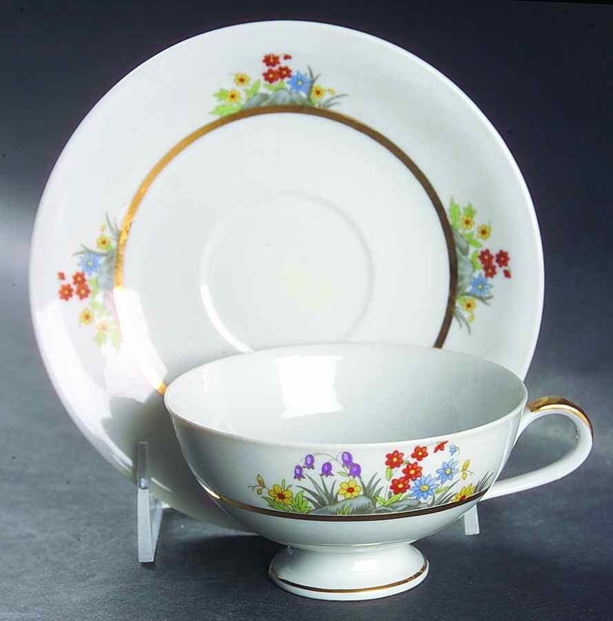 Rockgarden Footed Cup & Saucer Set by Chalfonte-1