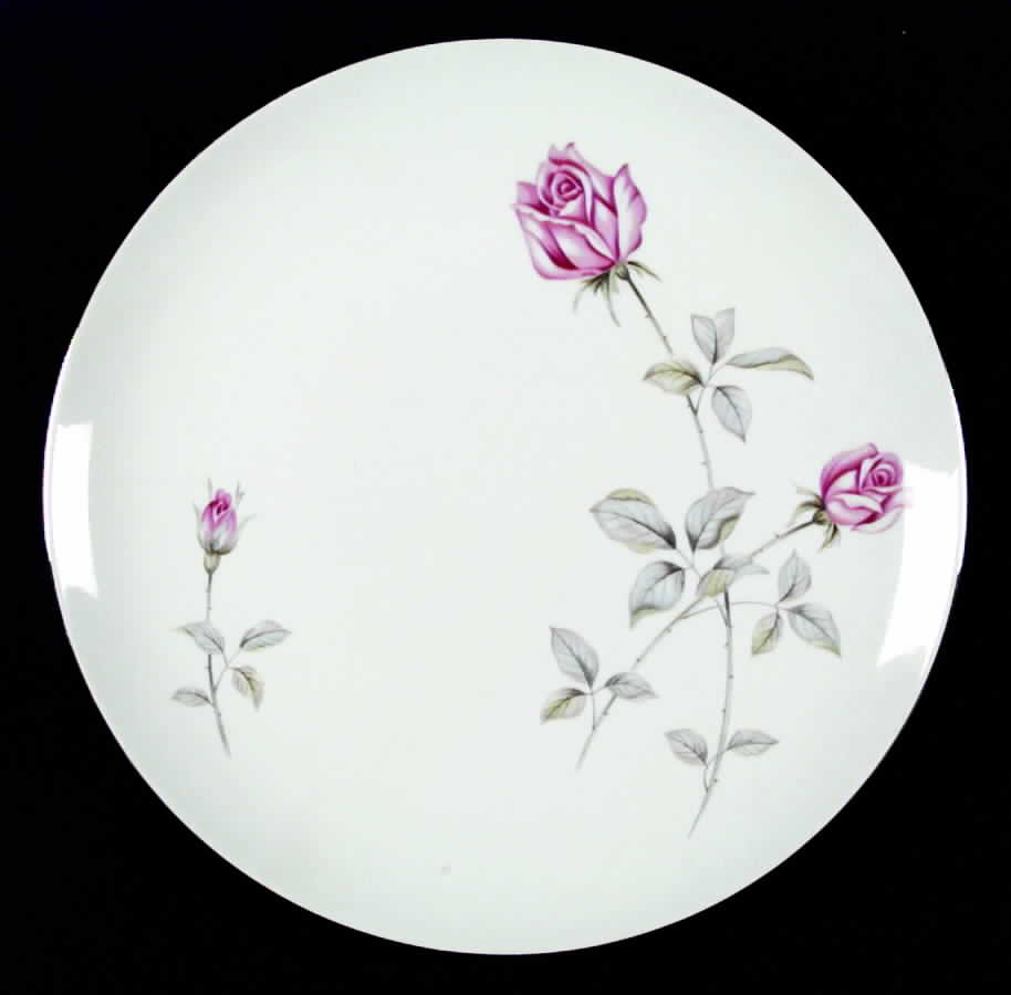 Rapture Dinner Plate by James Chatelaine-1