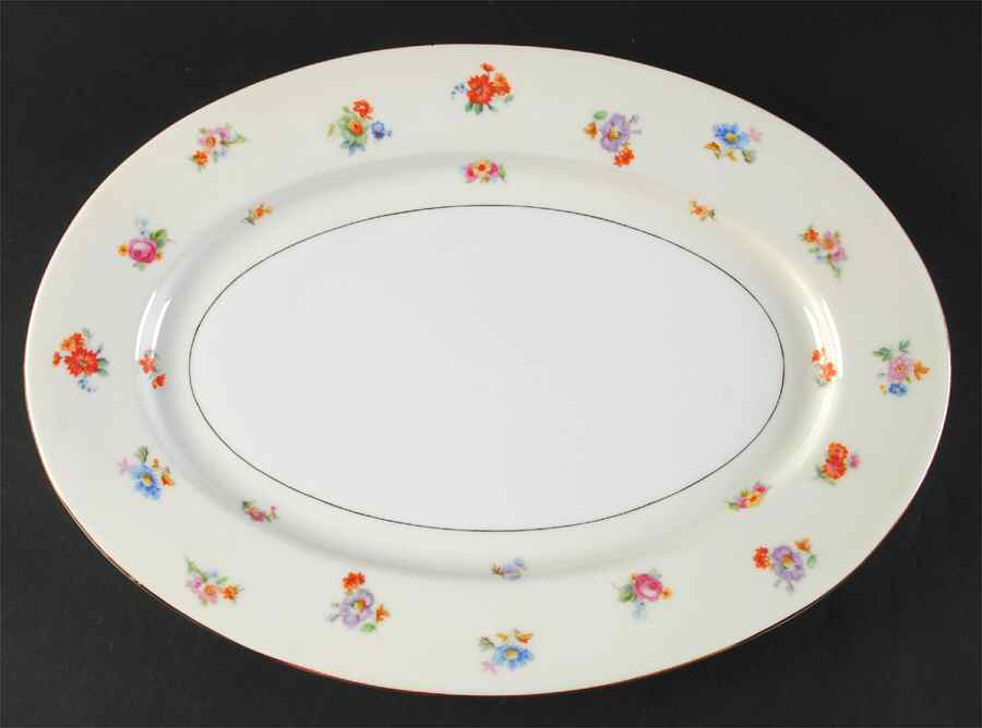 Dresdenflowers 15" Oval Serving Platter by Chateau-1