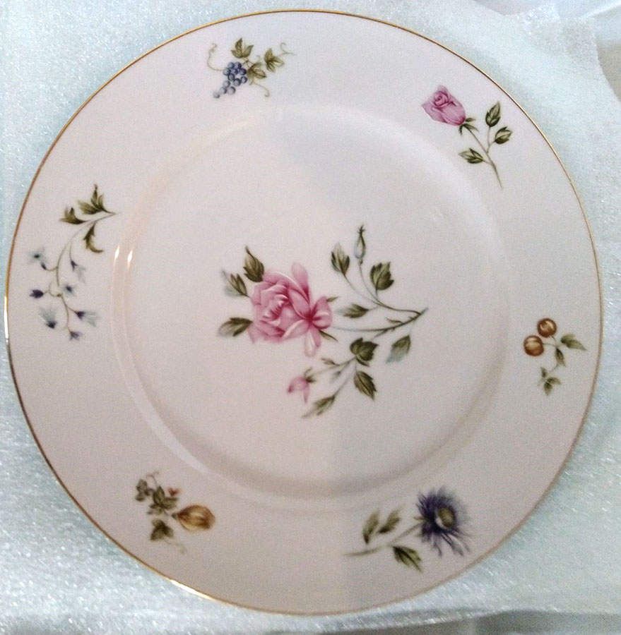 Fontaine Dinner Plate by Claridge-1