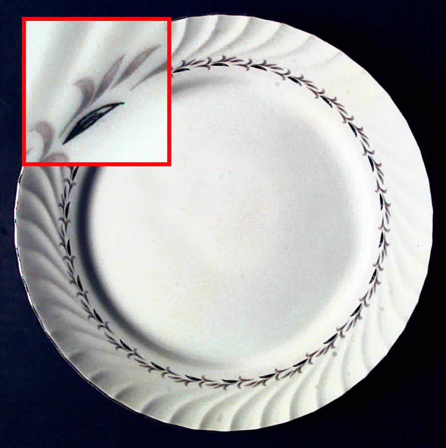 Bridal Wreath Dinner Plate by Coreling-1