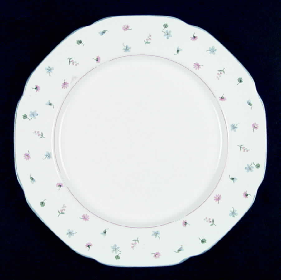 Bountiful Dinner Plate by The Cellar (China)-1