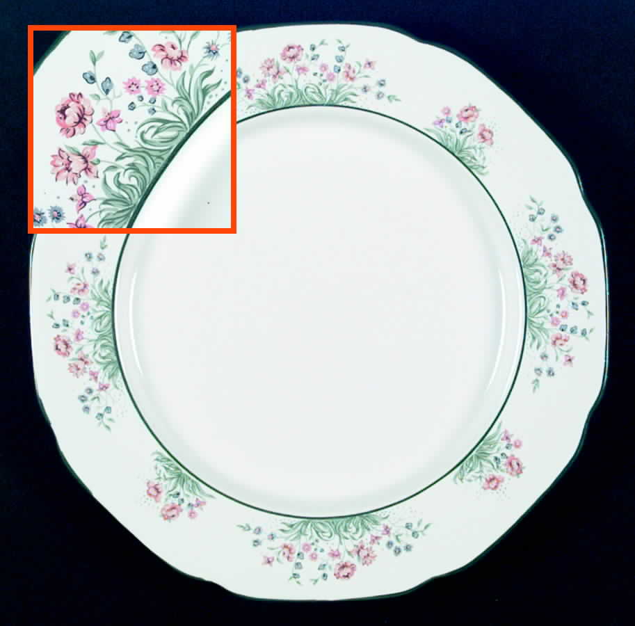 Summer's Garden Dinner Plate by The Cellar (China)-1