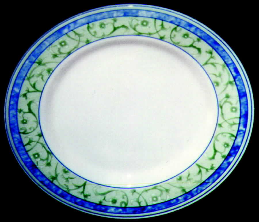 CMI3 Dinner Plate by Ceramica (Italy)-1