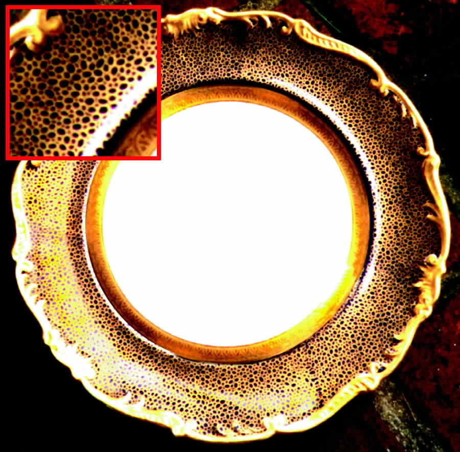 COA10 Dinner Plate by Coalport-1