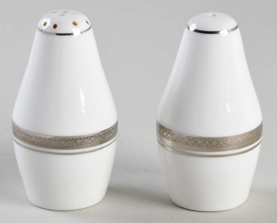 Elite Platinum Salt & Pepper Set by Coalport-1