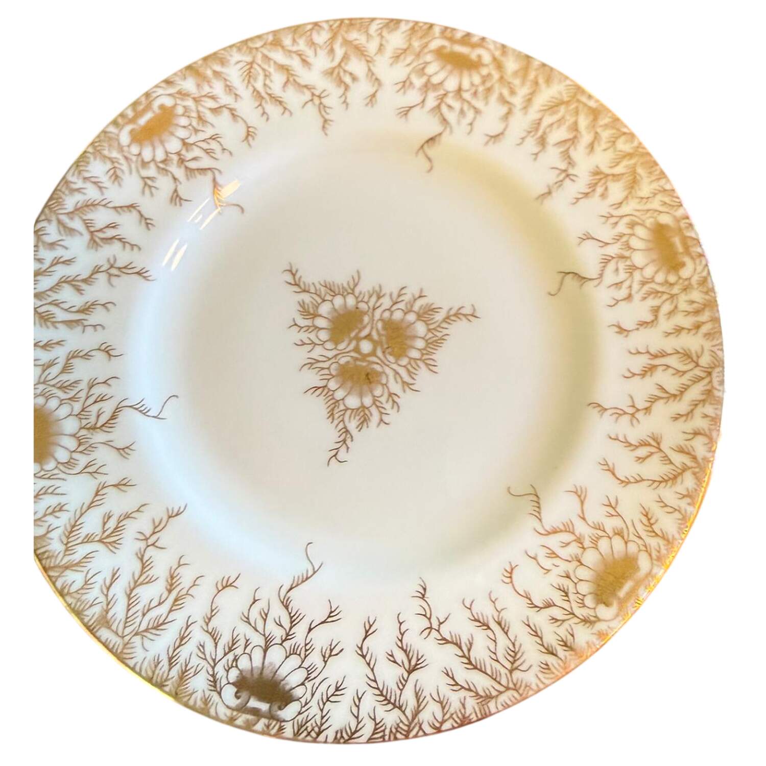 Sargasso (Gold Center Design) Salad Plate by Coalport-1