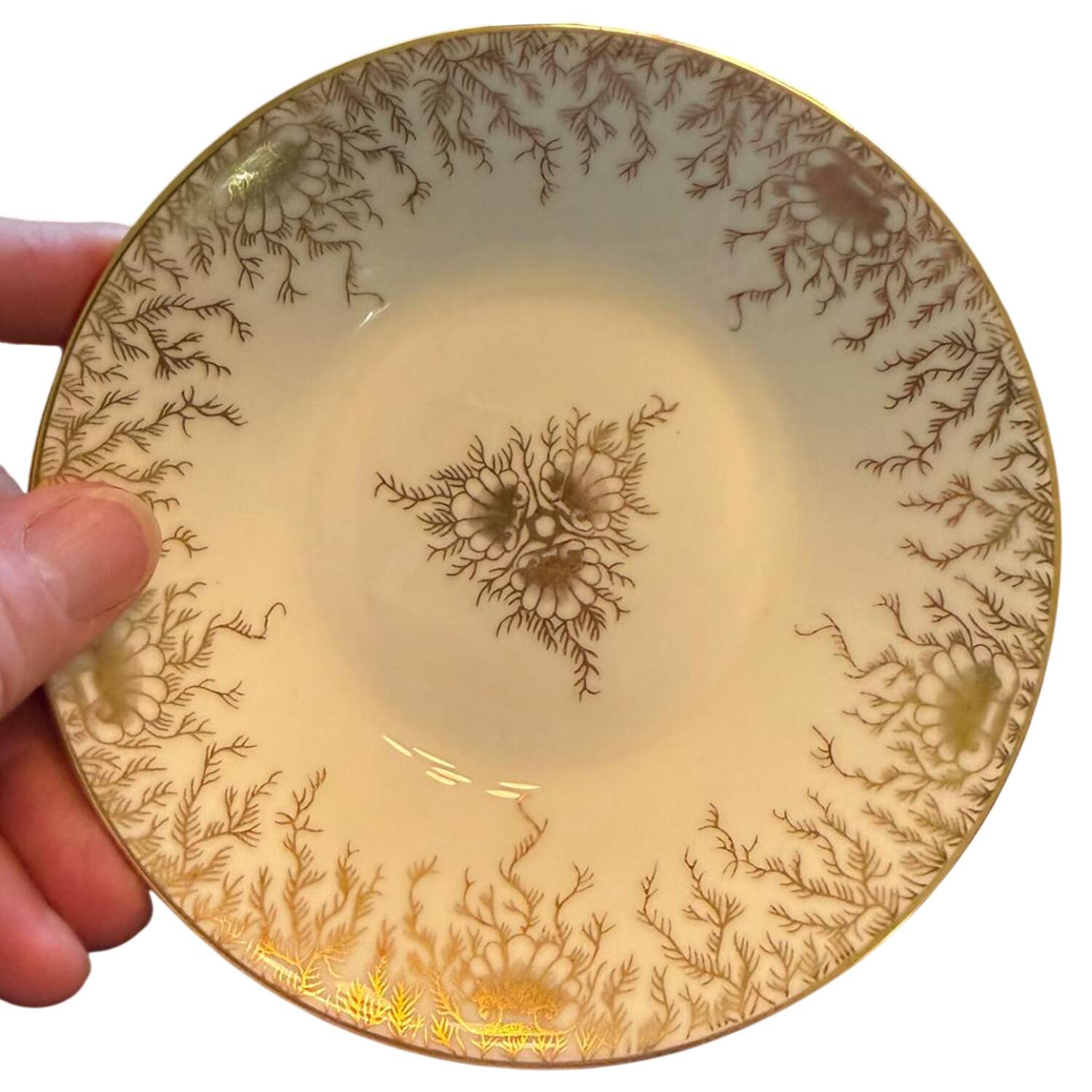 Sargasso (Gold Center Design) Fruit/Dessert (Sauce) Bowl by Coalport-1