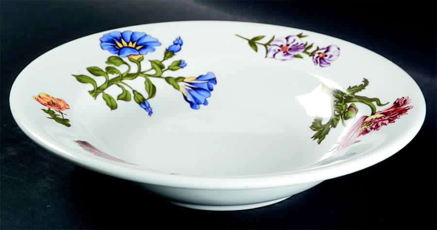 Caroline Large Rim Soup Bowl by BIA Cordon Bleu-1