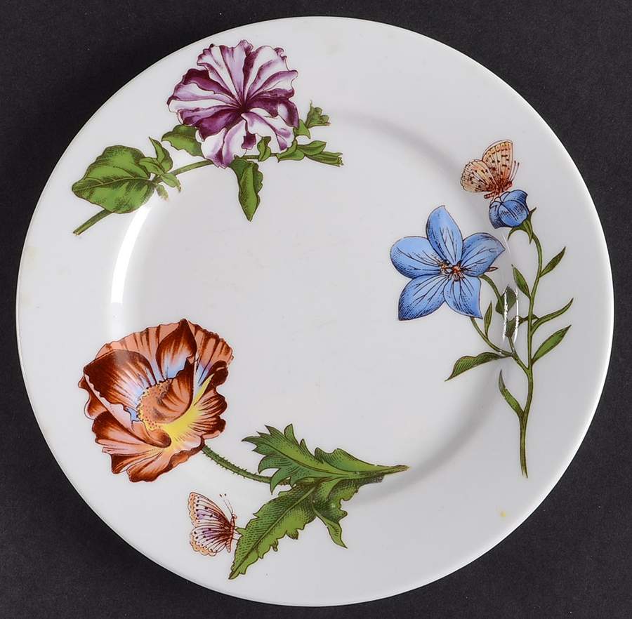 Caroline Bread & Butter Plate by BIA Cordon Bleu-1