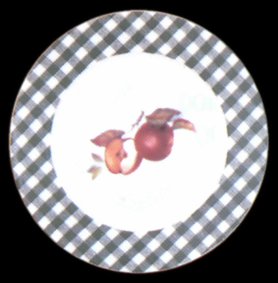 Catherine Accent Salad Plate by BIA Cordon Bleu-1