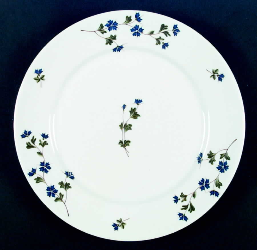 COB3 Dinner Plate by BIA Cordon Bleu-1