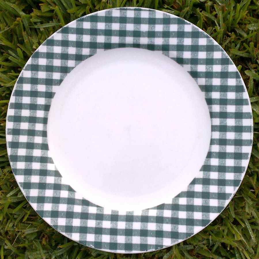 Summertime Dinner Plate by BIA Cordon Bleu-1