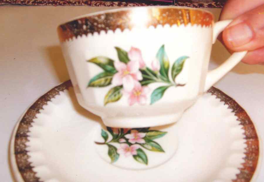 COI21 Flat Cup & Saucer Set by Cronin-1