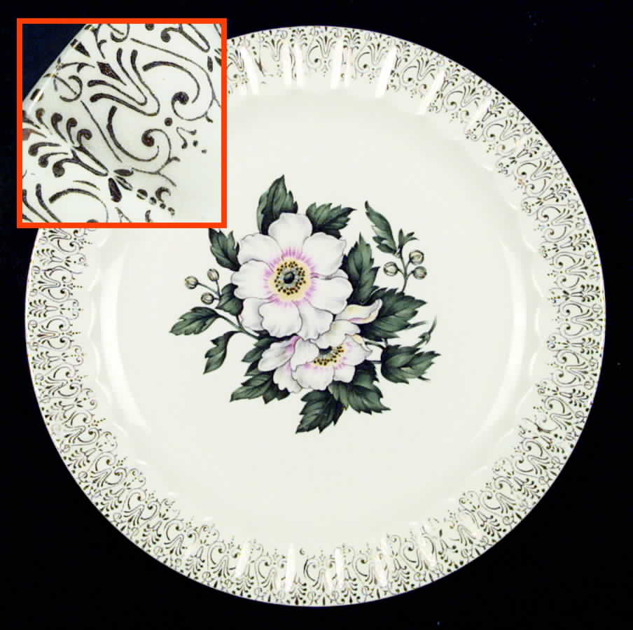COI6 Dinner Plate by Cronin-1