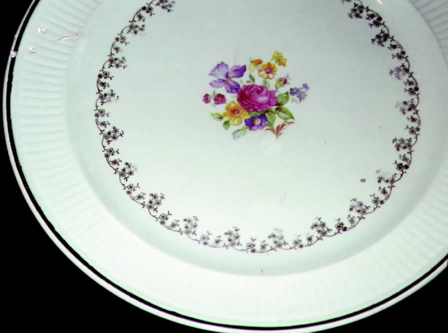 COI7 Dinner Plate by Cronin-1