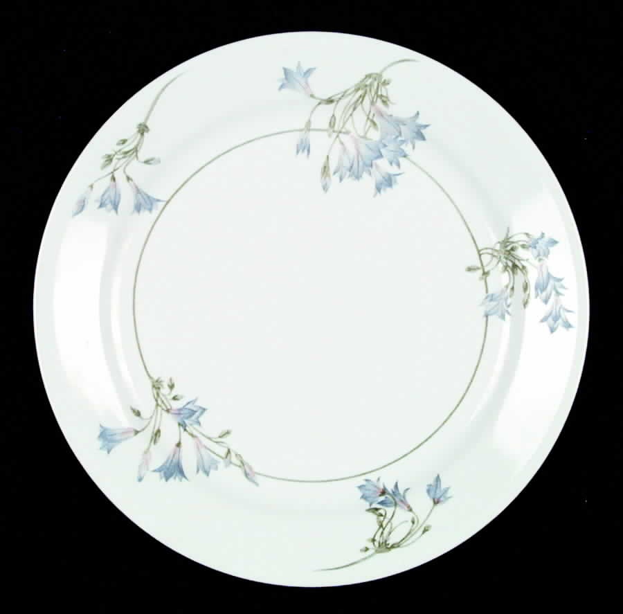 Blue Dusk (Corelle) Dinner Plate by Corning Corelle-1