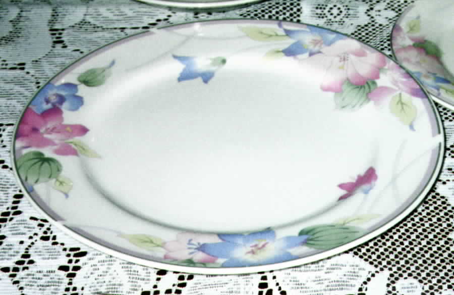 COR31 (Corelle) Dinner Plate by Corning Corelle-1