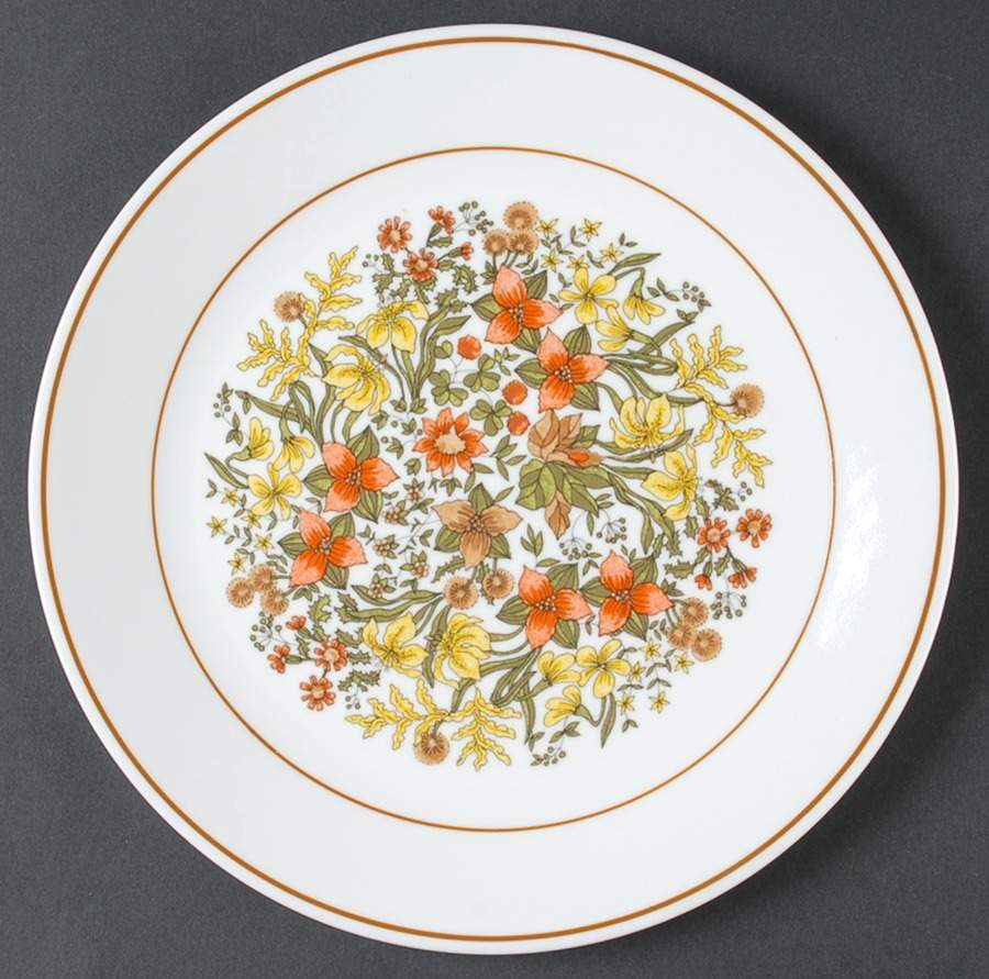 COR35 Dinner Plate by Corning Corelle-1
