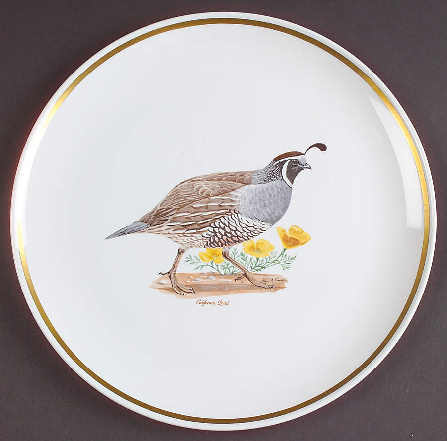 Game Birds (Gold Band) Dinner Plate by Corning Corelle-1