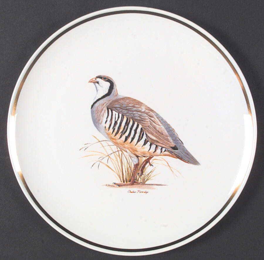 Game Birds (Gold Band) Dinner Plate by Corning Corelle-1