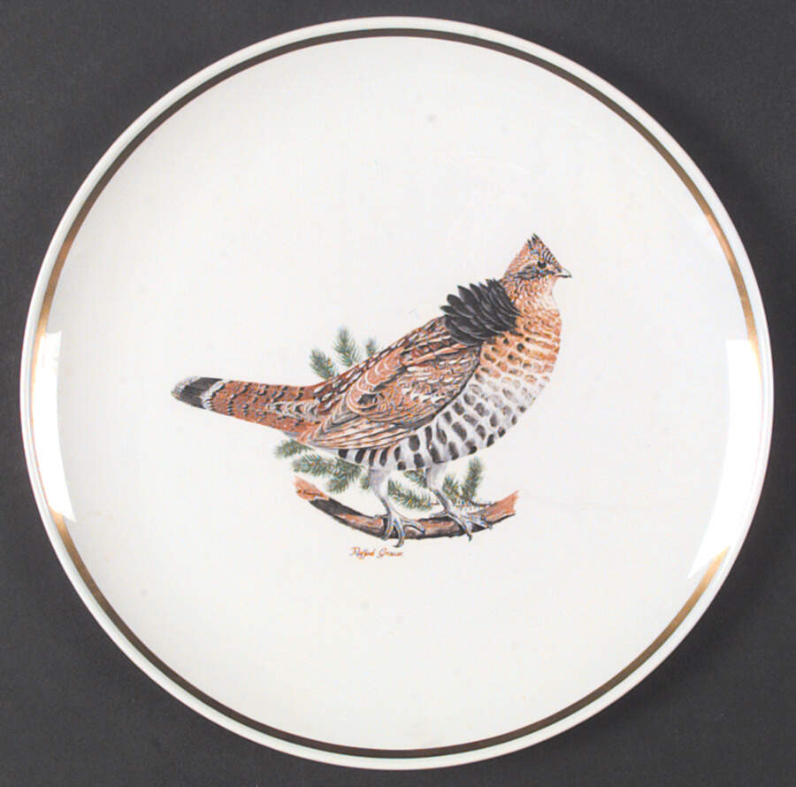 Game Birds (Gold Band) Dinner Plate by Corning Corelle-1