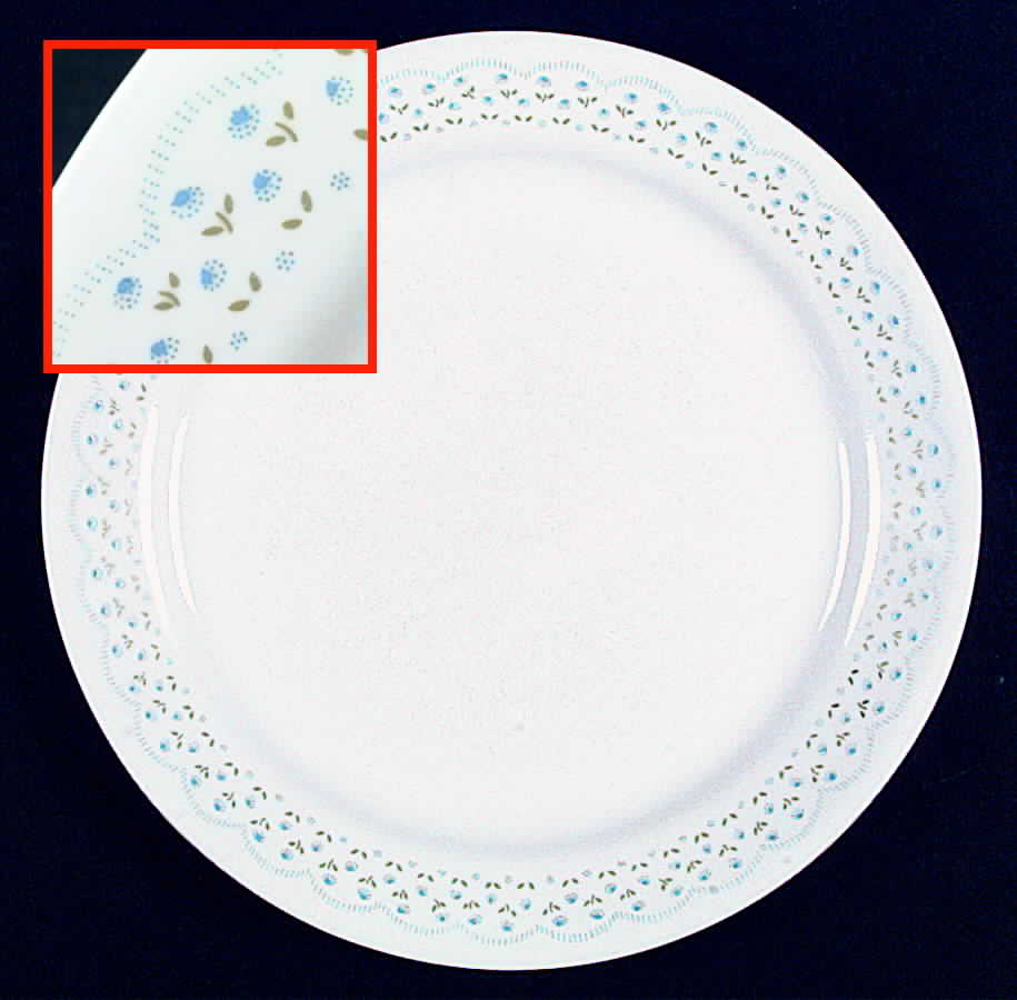 Garden Row (Corelle) Dinner Plate by Corning Corelle-1