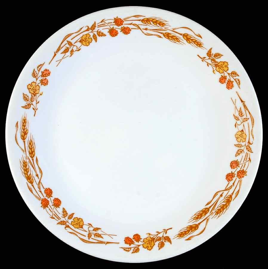 Harvest Home (Corelle) Salad Plate by Corning Corelle-1