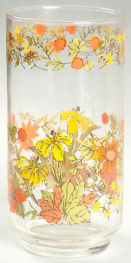 Indian Summer (Corelle) 14 Oz Glassware Tumbler by Corning Corelle-1