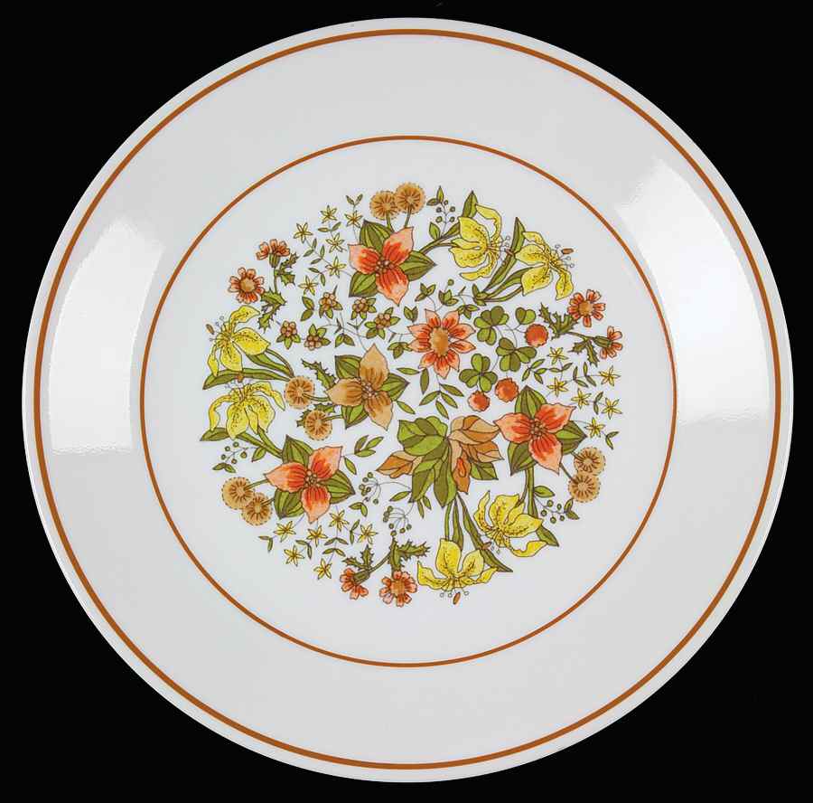 Indian Summer (Corelle) Salad Plate by Corning Corelle-1