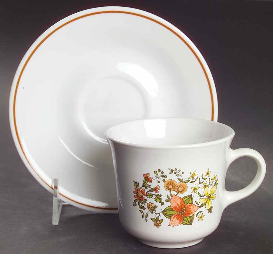 Indian Summer (Corelle) Flat Cup & Saucer Set by Corning Corelle-1