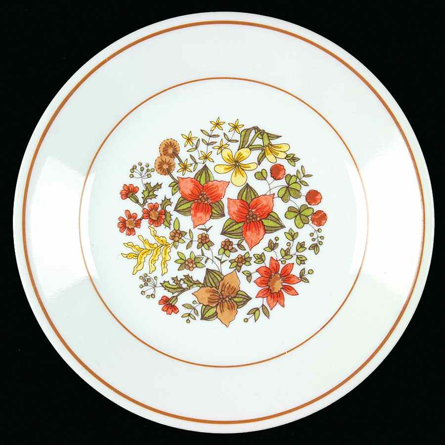 Indian Summer (Corelle) Bread & Butter Plate by Corning Corelle-1