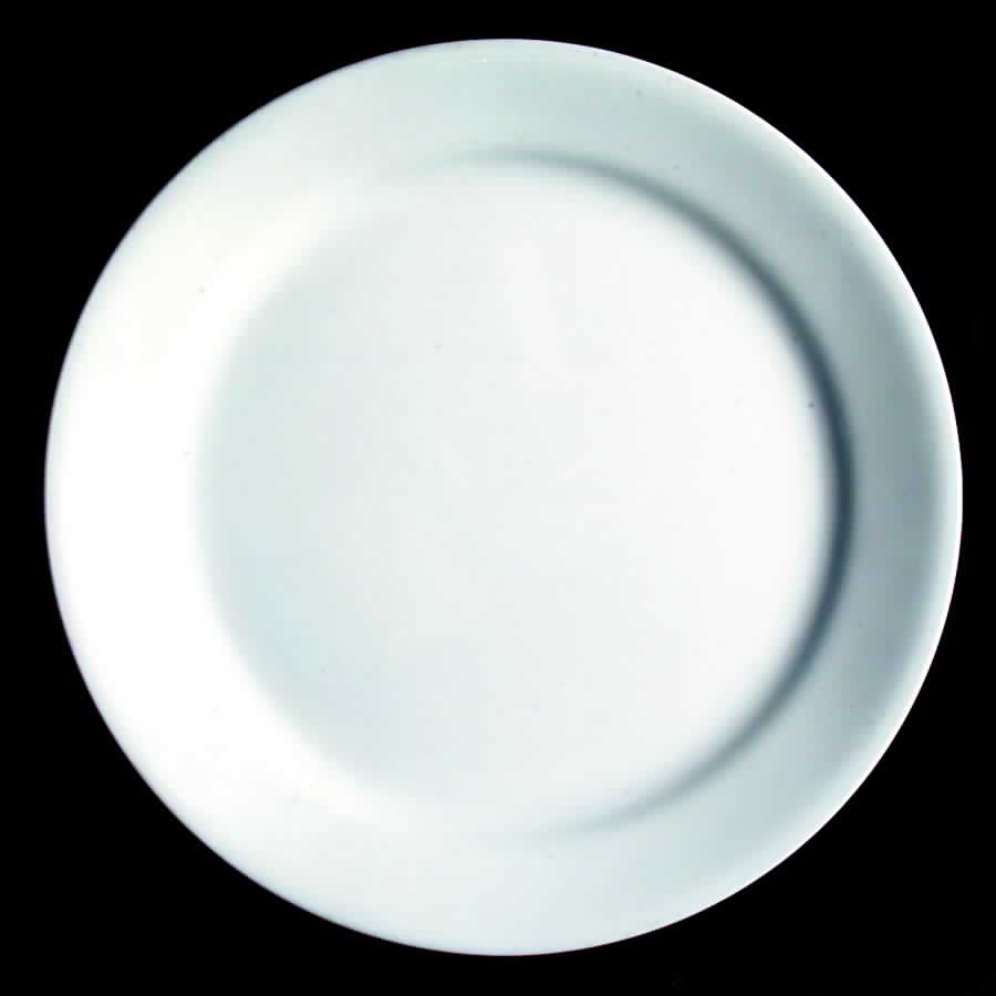 Misty White (Corelle) Dinner Plate by Corning Corelle-1