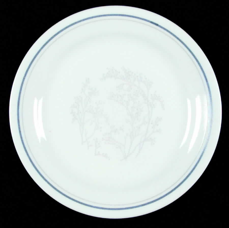 Queens Lace (Corelle) Dinner Plate by Corning Corelle-1