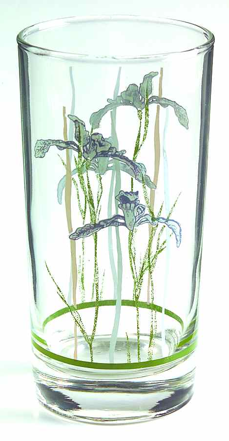 Shadow Iris (Corelle) 14 Oz Glassware Tumbler by Corning Corelle-1
