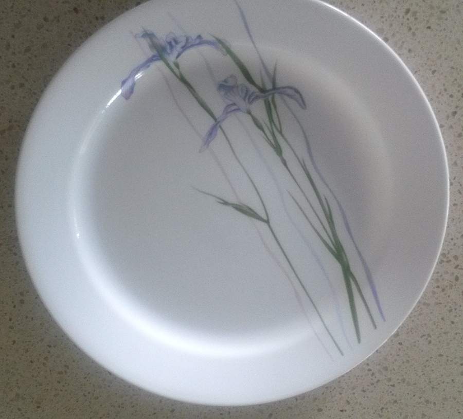 Shadow Iris (Corelle) Dinner Plate by Corning Corelle-1