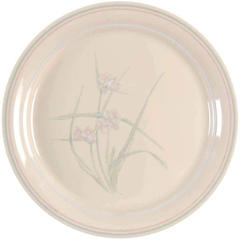 Spring Pond (Corelle) Dinner Plate by Corning Corelle-1