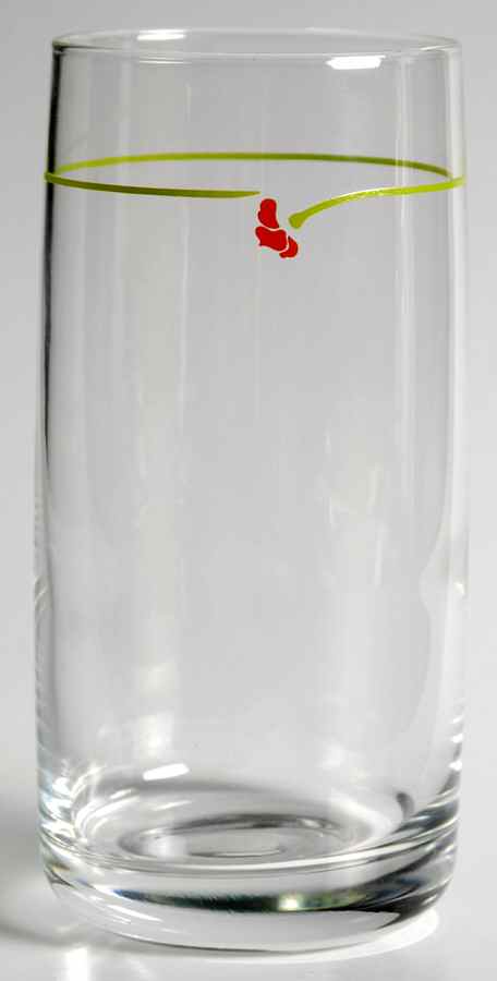 Wildflower (Corelle) 12 Oz Glassware Tumbler by Corning Corelle-1