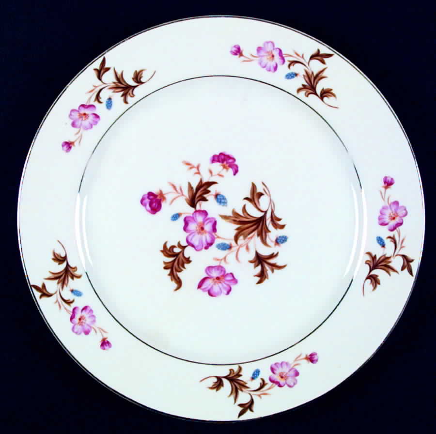 Azvitex (Japan) Dinner Plate by Crown China (Japan)-1