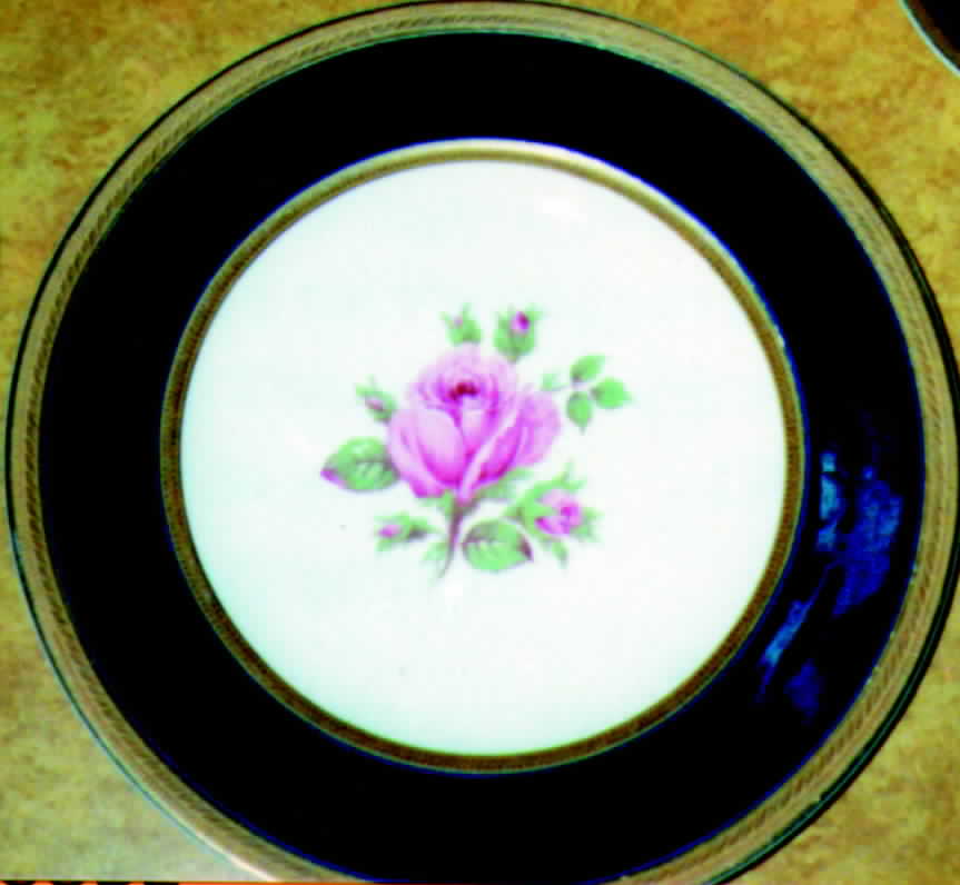 4211 Dinner Plate by Crown Ducal-1
